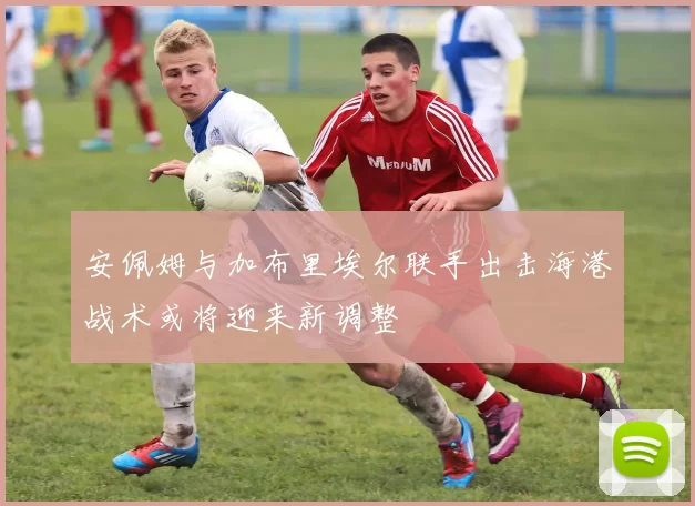 安佩姆与加布里埃尔联手出击海港战术或将迎来新调整