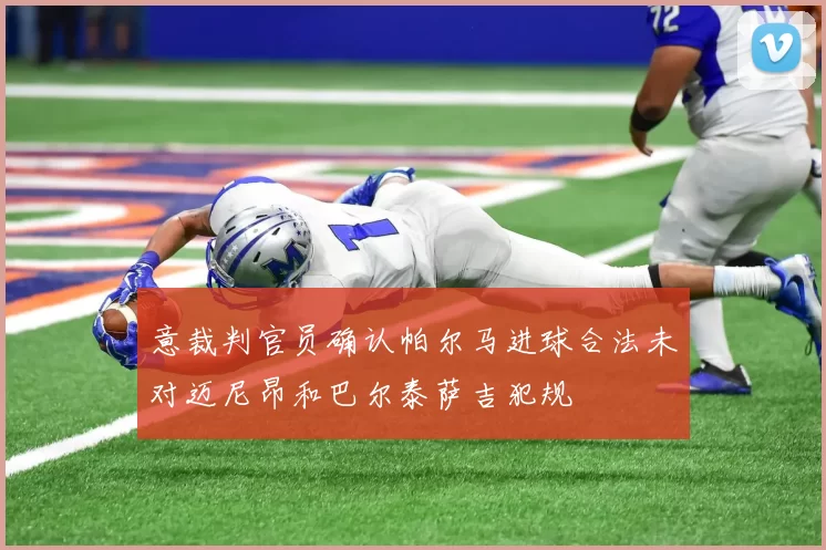 意裁判官员确认帕尔马进球合法未对迈尼昂和巴尔泰萨吉犯规